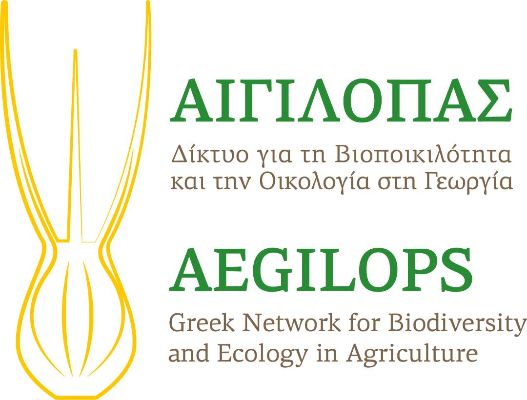 Aegilops